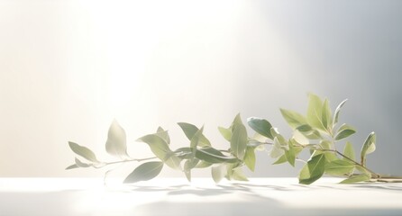 green leaves in white background on a white table,