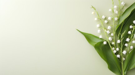 lily of the valley and olive branches on a clean,