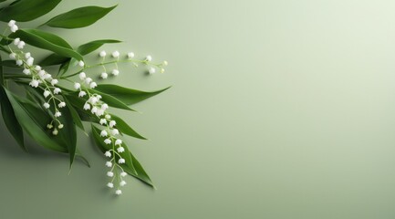 lily of the valley and olive branches on a clean, - obrazy, fototapety, plakaty