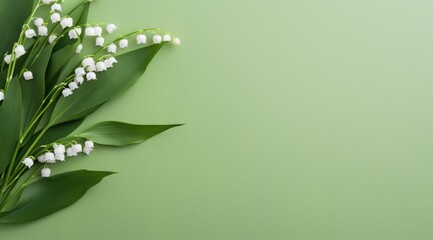 lily of the valley and olive branches on a clean, - obrazy, fototapety, plakaty