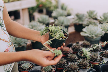 Woman Holding Potted Succulent Plant For Sale at Plant Nursery Garden Center