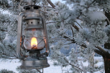 festive kerosene lamp shines in the branches of a pine tree.
