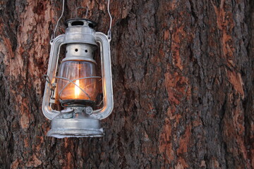 kerosene lamp shines on the bark of a pine tree in winter