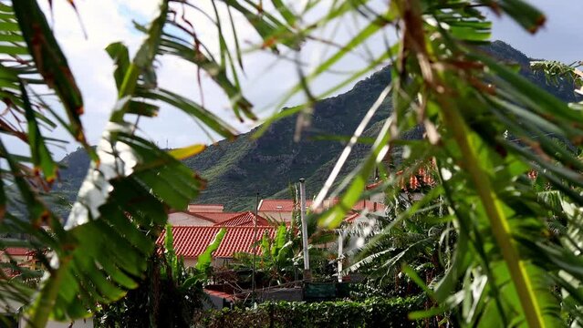 the city of canical on madeira island video
