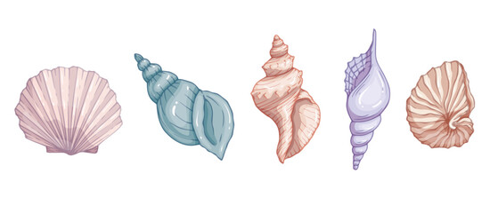 Set of colorful sea shells.Vector graphics.