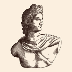 Bust of the ancient Greek and Roman god Apollo. Vector illustration in engraving style. - obrazy, fototapety, plakaty