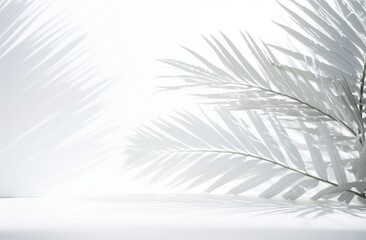 the reflection of palm leaves on the white snowy snow