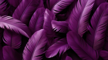 Beautiful Abstract Purple Feathers On White, Background Image, Desktop Wallpaper Backgrounds, HD