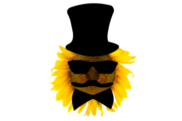 Blooming yellow sunflower wearing a hat, glasses, bow tie and mustache (close-up) on a transparent background