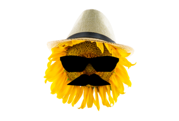 Blooming yellow sunflower in a hat, sunglasses and mustache (close-up) on a transparent background