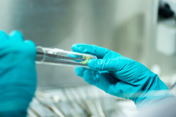 plant Tissue Culture for Agricultural Research