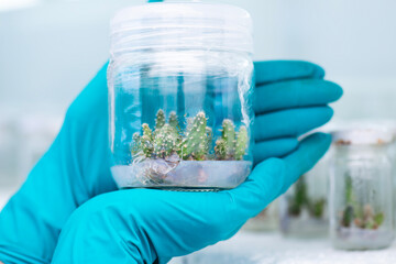 plant Tissue Culture for Agricultural Research