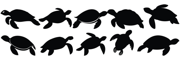 Sea turtle caretta silhouettes set, large pack of vector silhouette design, isolated white background