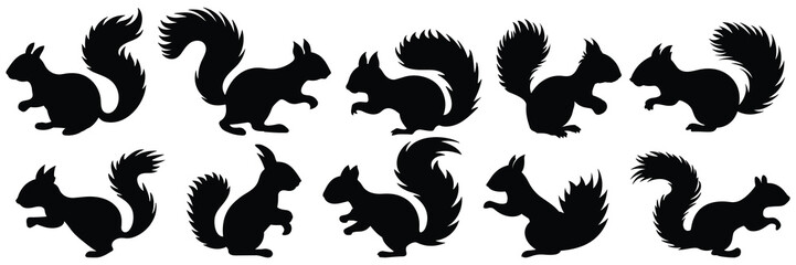 Squirrel silhouettes set, large pack of vector silhouette design, isolated white background