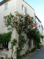 Maison fleurie sur Saint Martin de Ré