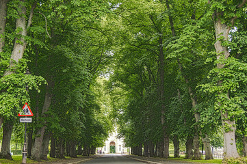 die prächtige Allee führt zum Schloss