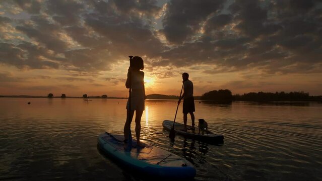 silhouette of couple paddle boarding at lake during sunset together with pug dog. Concept of active family tourism and supping with pets. Brave Dog Standing on SUP Board and enjoy vacation
