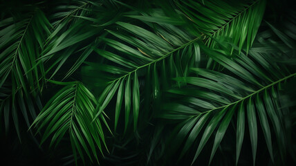 Natural green leaves and palms tropical rainforest background header 