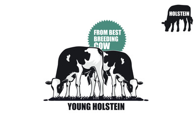 YOUNG HOLSTEIN CATTLE FROM BEST BREEDER LOGO, silhouette of great calf standing in farm vector illustrations