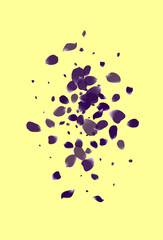 Delicate Tulip Spring Vector Yellow Background.