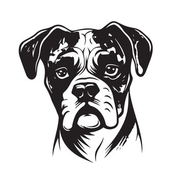 Boxer dog in cartoon, doodle style. Isolated 2d vector illustration in logo, icon, sketch style, Eps 10, black and white. AI Generative