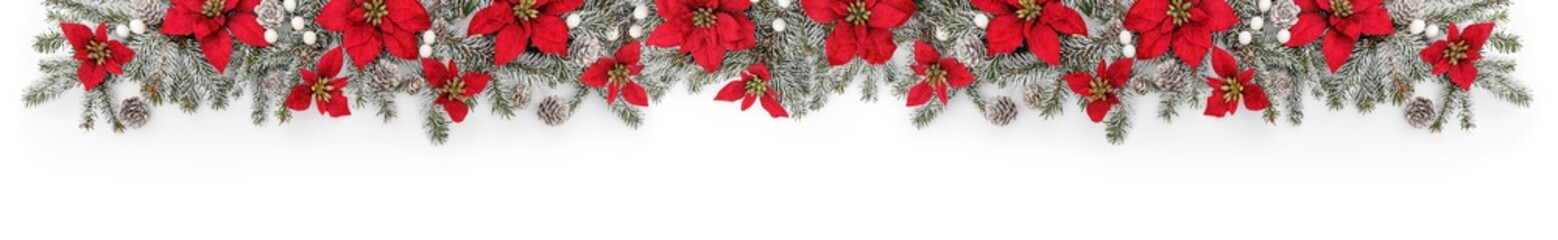 Merry Christmas garland made of fir branches and holiday red flowers on white background. Happy New Year and Xmas, top view, wide banner