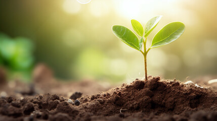 A tiny seedling breaks through the earth's surface, emerging into the light - Generative AI