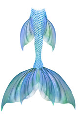 Mermaid Tail With Transparent Colourful Fins - obrazy, fototapety, plakaty