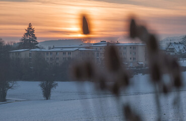 View of a winter city and white snow at sunset, the photo was taken through flowers that are out of focus.