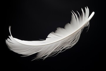 Single white feather falling against a dark background, symbolizing lightness and grace.