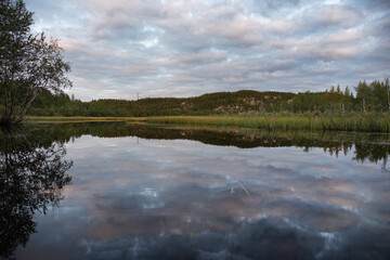 reflection of trees in water