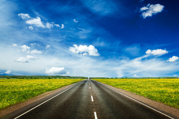 Travel concept background - an empty road with a blue sky and blooming green spring fields on either side