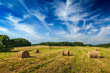 Agriculture background - a stunning summer landscape with hay bales scattered across a field, with a blue sky and wispy clouds in the background