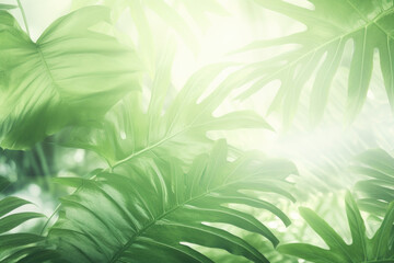 Fototapeta na wymiar Dreamy tropical green leaf background. Soft focus, pastel palette, nature's ethereal daydream
