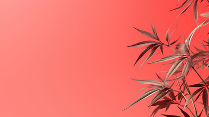 Bamboo tropical leaves on coral color background minimal summer