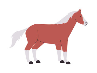 brown and white color horse mare or stallion wild nature mammal animal have tail and power fast run