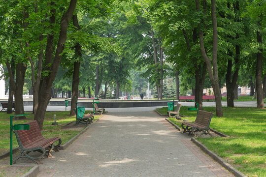 empty bench and path surrounded by green trees in Peremohy Garden Square in Kharkiv city