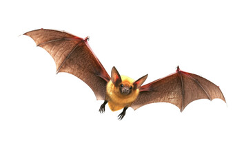 Obraz premium flying bat isolated on transparent background. generative ai