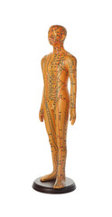 Acupuncture model. Male mannequin with dots and lines isolated on white