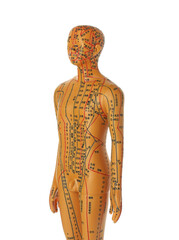 Acupuncture model. Male mannequin with dots and lines isolated on white
