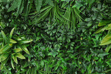 Fototapeta na wymiar Green artificial plant wall panel as background, closeup