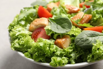 Delicious salad with chicken, cherry tomato and spinach on table, closeup
