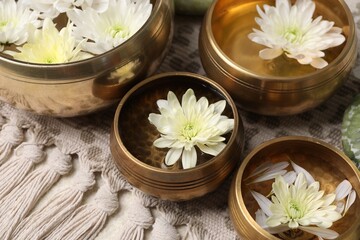 Tibetan singing bowls with water and beautiful chrysanthemum flowers on table, closeup