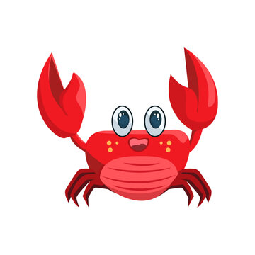 Cute Crab Sea Animal Character Illustration