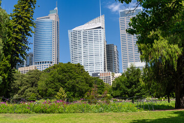 The Botanical Gardens of Sydney Australia