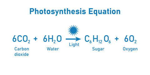Photosynthesis equation. Carbon dioxide, water, sugars and oxygen. Chemical reaction with reactants and products. Chemical resources for teachers and students.