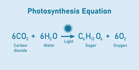 Photosynthesis equation. Carbon dioxide, water, sugars and oxygen. Chemical reaction with reactants and products. Chemical resources for teachers and students. - obrazy, fototapety, plakaty