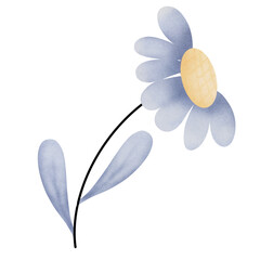 happy birthday little boy Baby