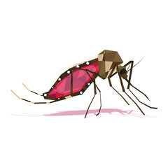 polygonal mosquito with blood