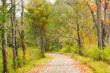 Newport Claremont Rail Trail in Newport, New Hampshire in autumn.